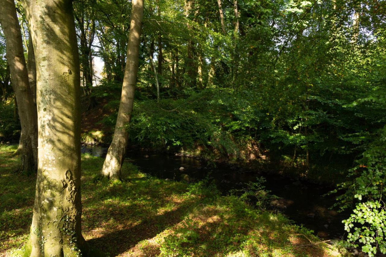 Millbrae Lodges Belfast Exteriör bild